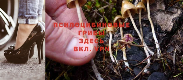 MDMA Липки