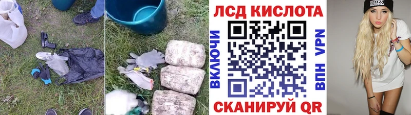Купить закладки  Камышлов  Лсд 25 экстази кислота 
