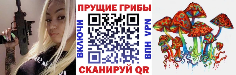Купить закладки  Камышлов  Галлюциногенные грибы Magic Shrooms 